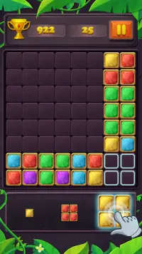 Block jewel puzzle game Screen Shot 3