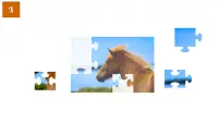Jigsaw Puzzles with Horses Screen Shot 2