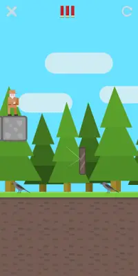 Hunter and Birds - arcade game Screen Shot 0