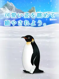 癒しのペンギン育成ゲーム Screen Shot 2