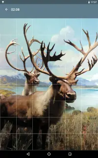 Puzzle: Animaux Screen Shot 9
