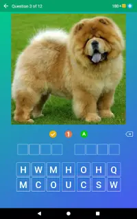 Dog Quiz: Guess the Breed — Game, Pictures, Test Screen Shot 8