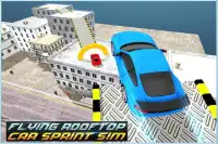 Flying Rooftop Car Sprint Sim Screen Shot 3
