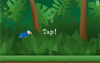 Flappy Bluejay Fly! Screen Shot 10