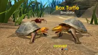 Box Turtle Simulator Screen Shot 0