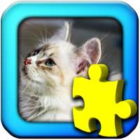 猫 - ジグソーパズル