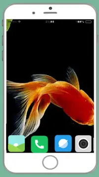 Fish Full HD Wallpaper Screen Shot 1
