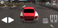 Extreme Car Parking Simulator Screen Shot 4