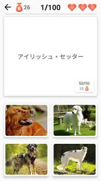 39/5000 犬のクイズ - 写真の中のすべての犬の品種を推測する Screen Shot 5