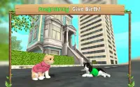 Cat Sim Online: Play with Cats Screen Shot 2