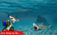 Shark Hunting Sniper Shooter Screen Shot 2