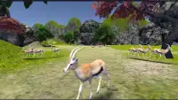 Deer Hunter Free Screen Shot 6