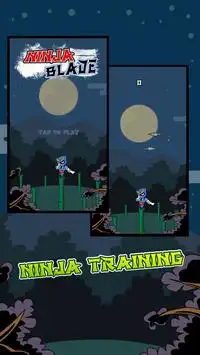 Ninja Blade Screen Shot 1