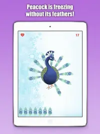 Peacock Darts - Pin the Bird Screen Shot 5