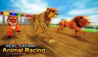 Real Safari Animal Racing Simulator - Wild Race 3D Screen Shot 1
