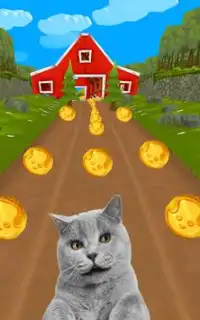 angry cat runner rush 3d Screen Shot 3