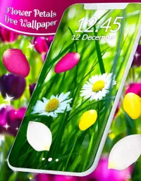 Spring Petals Live Wallpaper ❤️ Flower Wallpapers Screen Shot 4