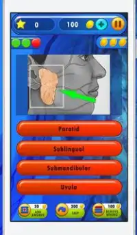 Anatomia Humana Teste Quiz Screen Shot 7