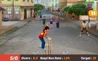 Gully Cricket Game Screen Shot 1