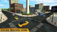 Taxi Driver 3D Screen Shot 2
