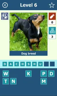 Dog Breeds: Quiz Screen Shot 3