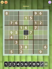 Sudoku  Screen Shot 5