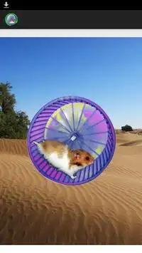 Hamster In a Wheel Desert Screen Shot 0