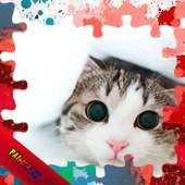 Jigsaw Puzzle Cats for Kids