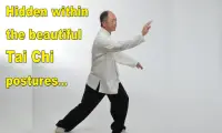 Tai Chi Martial Applications Screen Shot 11