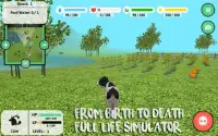 Cow Simulator Screen Shot 4