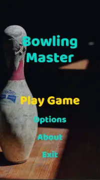 Bowling Master Screen Shot 0