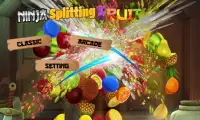 Ninja Splitting fruit Screen Shot 0