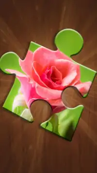 Flower Puzzles Games Screen Shot 0