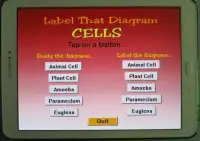 Label that Diagram - Cells Screen Shot 9