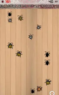 سحق الحشرات | علة الجذاب 2020 Screen Shot 6