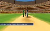 Juego de deportes de críquet Screen Shot 3