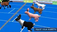 Rabbit Racing Adventure 3D Screen Shot 2