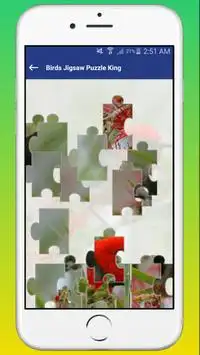 Birds Jigsaw Puzzle King Screen Shot 3