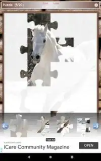 Pony Horse Game Puzzle Screen Shot 9