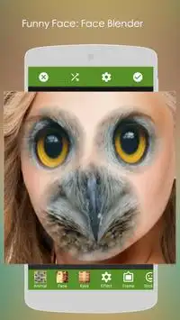 Face Blender:Funny Morph  Face Screen Shot 11