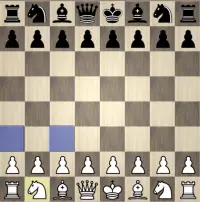 Experts Chess Screen Shot 2