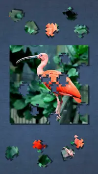 Cute Bird Puzzle - Simple Jigsaw Puzzle Screen Shot 4