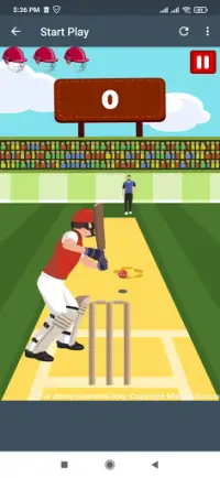 Campeonato de cricket profesional Screen Shot 0