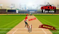 Mundial de Críquete Super League T20 Febre: Cricke Screen Shot 4