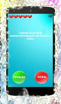 Правда или ложь 500  вопросов Screen Shot 2