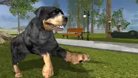 Rottweiler Dog Life Simulator Screen Shot 4
