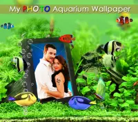 Photo Aquarium Live Wallpaper Screen Shot 8