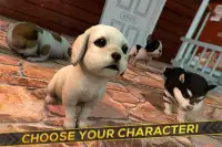 Puppies! Dogs and Cats Game Screen Shot 2