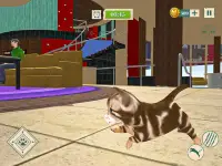 Meow Kitty - Idle Cat Simulator Vs Rat Simulator Screen Shot 5