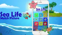 Kids Sea Life Match Picture Screen Shot 0